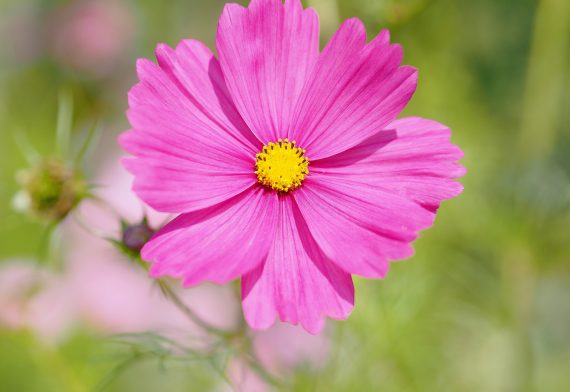 blog-image
