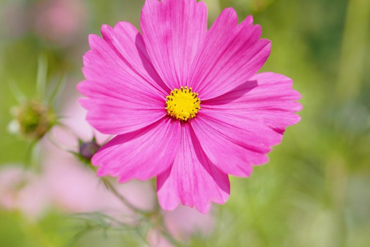 blog-image