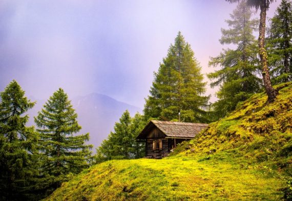 blog-image