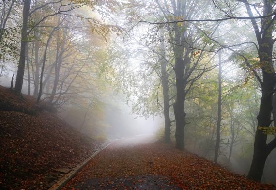 blog-image
