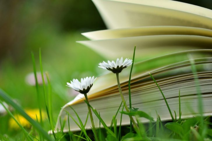 blog-image